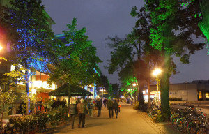 Illumination in Bad Oeynhausen