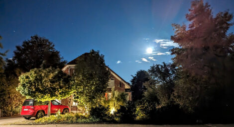 Ein voller Mond scheint auf einen Garten mit Büschen und Bäumchen. Man sieht das Heck von einem Auto und zwischen den Büschen das Dach von einem Haus. Die Büsche sind teilweise mit Spots von unten beleuchtet.