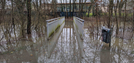 Eine Brücke über einen Fluss in einem Wald. Die Brücke ist überflutet, das Wasser steht an der Unterkante des Geländers.