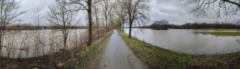 Ein asphaltierter Weg zwischen zwei Wasserflächen. Rechts und links des Weges stehen jeweils Baumreihen.