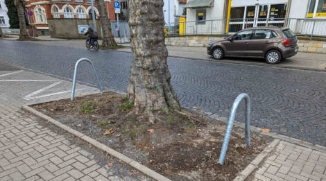 Eine platt gefarene Baumscheibe an einer mit Kopfsteinen gepflasterten Straße. Die Baumscheibe ist am Rand mit Anfahrbügeln gesichert.