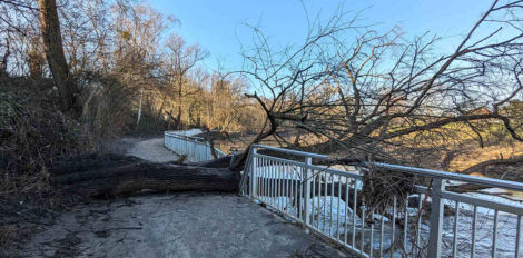 Ein umgekippter Baum liegt quer über einen Geh- und Radweg und hat das Geländer zum daneben fließenden Fluss platt gedrückt.