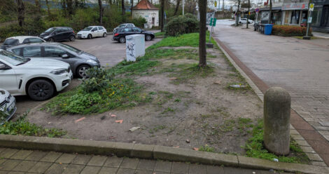 Eine plattgetrampelte Grünfläche, bei der man fast nur noch blanke Erde sieht neben einem Parkplatz.