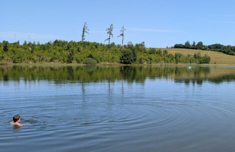 Ein Junge schaut in einem See zu einem "Platscher" auf der anderen Seite des Sees.