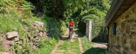 Eine Frau fährt auf einem Schotterweg, welcher mit Gras durchzogen ist, in einem Wald bergab. Die Kamera blickt zurück und zeigt die Frau von vorne.
