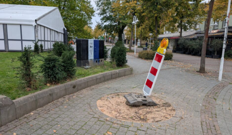 Eine Warnbake steht auf einem Baumstumpf in einer Baumscheibe inmitten von Sägespänen. Im Hintergrund sieht man eine Rasenfläche mit niedriger Hecke drum herum. Auf der Rasenfläche steht ein großes, weißes Veranstaltungszelt.