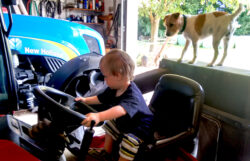 Ein Kleinkind sitzt auf einem Rasenmähertraktor. Auf dem großen Grasfangkorb hinter dem Fahrersitz steht ein kleiner Hund und schaut auf den Jungen. Im Hintergrund ist ein größerer New-Holland-Traktor zu sehen.