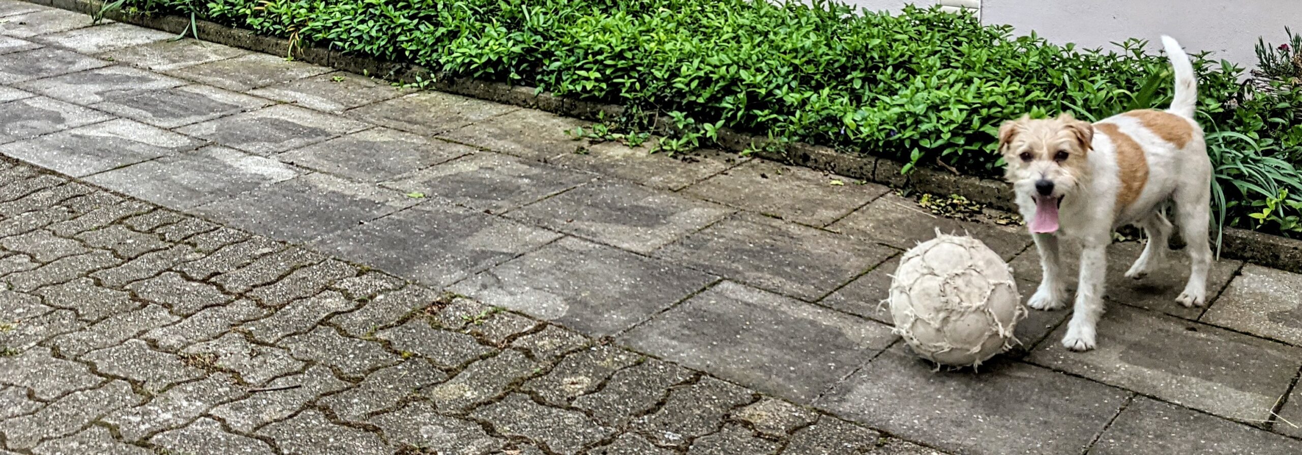 Dexter – 2014 bis 2026