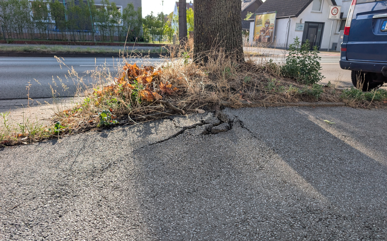 Benutzungspflichtiger Radweg an der Eidinghausener Straße