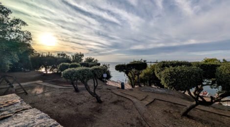Aussicht über kleine Pinienbäume und auf das blaue Meer unter vielen weißen Wölkchen, die von einer Sonne im Gegenlicht angestrahlt werden.
