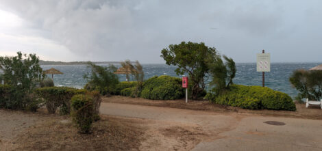 Büsche und kleine Bäume an der Küste der Adria werden vom Wind gebeugt, das Meer im Hintergrund ist rau und der Horizont ist ganz nahe grückt, weil eine Regenwand die Sicht in die Ferne verhindert.