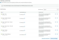 Die Filterllistenkonfiguration für die DNS-Filter in der Fritzbox.