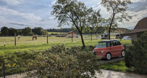 Der Topolino fährt vor einer grünen Böschung vor einem Zaun entlang. Der Himmel ist blau mit weißen Wolken. Ein schiefer Baum steht auf der Böschung.